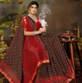 Zankhi Dandiya